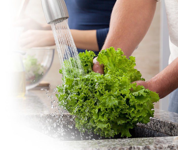 Man Washing Lettuce In Sink