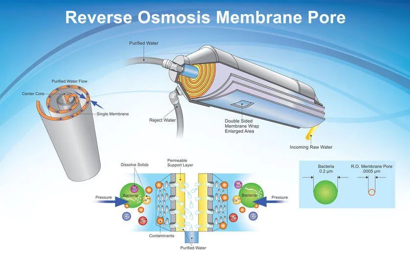 Reverse Osmosis Membrane Pore Diagrame Permeate Flush 3