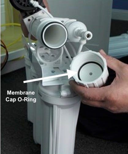 cap o ring for us water residential membrane housing.media .02